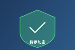 数据安全